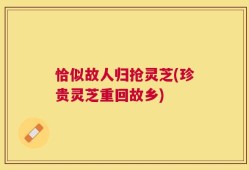 恰似故人归抢灵芝(珍贵灵芝重回故乡)