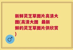 新鲜灵芝草图片高清大图(高清大图  最新鲜的灵芝草图片供欣赏)