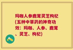 玛咖人参鹿茸灵芝枸杞(五种中草药的神奇功效：玛咖、人参、鹿茸、灵芝、枸杞)