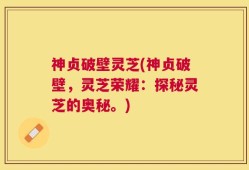 神贞破壁灵芝(神贞破壁，灵芝荣耀：探秘灵芝的奥秘。)