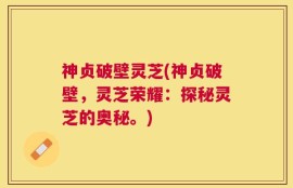 神贞破壁灵芝(神贞破壁，灵芝荣耀：探秘灵芝的奥秘。)
