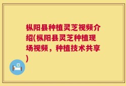 枞阳县种植灵芝视频介绍(枞阳县灵芝种植现场视频，种植技术共享)