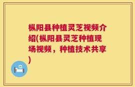 枞阳县种植灵芝视频介绍(枞阳县灵芝种植现场视频，种植技术共享)