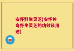 安怀野生灵芝(安怀神奇野生灵芝的功效及用途)