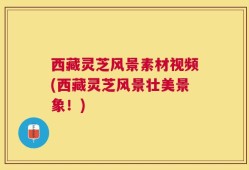 西藏灵芝风景素材视频(西藏灵芝风景壮美景象！)