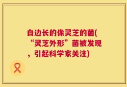 白边长的像灵芝的菌(“灵芝外形”菌被发现，引起科学家关注)