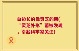 白边长的像灵芝的菌(“灵芝外形”菌被发现，引起科学家关注)