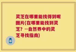 灵芝在哪里能找得到呢图片(在哪里能找到灵芝？--自然界中的灵芝寻找指南)