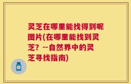 灵芝在哪里能找得到呢图片(在哪里能找到灵芝？--自然界中的灵芝寻找指南)