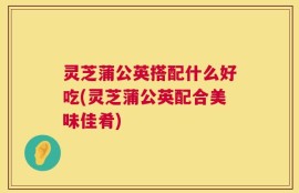 灵芝蒲公英搭配什么好吃(灵芝蒲公英配合美味佳肴)