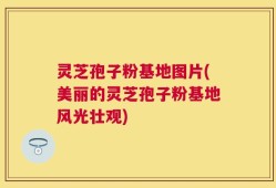 灵芝孢子粉基地图片(美丽的灵芝孢子粉基地风光壮观)