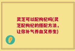 灵芝可以配枸杞吗(灵芝配枸杞的搭配方法，让你补气养血又养生)