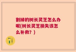 割掉的树长灵芝怎么办呢(树长灵芝损失该怎么补救？)