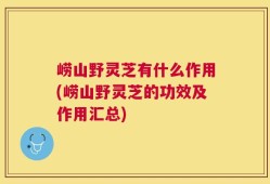 崂山野灵芝有什么作用(崂山野灵芝的功效及作用汇总)
