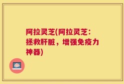 阿拉灵芝(阿拉灵芝：拯救肝脏，增强免疫力神器)