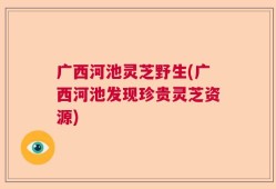 广西河池灵芝野生(广西河池发现珍贵灵芝资源)