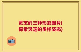 灵芝的三种形态图片(探索灵芝的多样姿态)