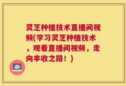 灵芝种植技术直播间视频(学习灵芝种植技术，观看直播间视频，走向丰收之路！)