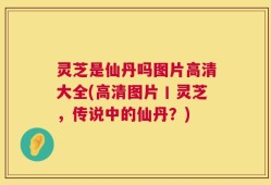 灵芝是仙丹吗图片高清大全(高清图片丨灵芝，传说中的仙丹？)