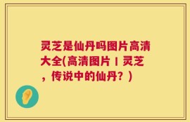 灵芝是仙丹吗图片高清大全(高清图片丨灵芝，传说中的仙丹？)