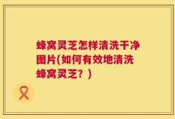 蜂窝灵芝怎样清洗干净图片(如何有效地清洗蜂窝灵芝？)