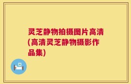 灵芝静物拍摄图片高清(高清灵芝静物摄影作品集)