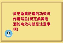 灵芝桑黄泡酒的功效与作用禁忌(灵芝桑黄泡酒的功效与禁忌注意事项)