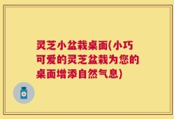 灵芝小盆栽桌面(小巧可爱的灵芝盆栽为您的桌面增添自然气息)