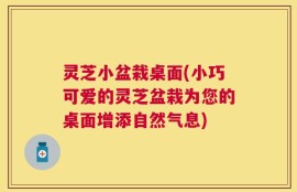 灵芝小盆栽桌面(小巧可爱的灵芝盆栽为您的桌面增添自然气息)