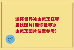 迷你世界冰山灵芝在哪里找图片(迷你世界冰山灵芝图片位置参考)