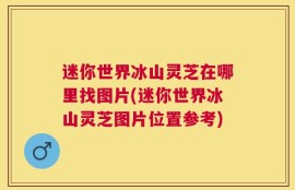 迷你世界冰山灵芝在哪里找图片(迷你世界冰山灵芝图片位置参考)