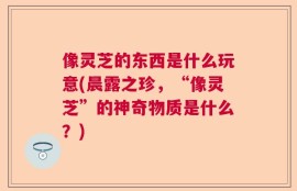 像灵芝的东西是什么玩意(晨露之珍，“像灵芝”的神奇物质是什么？)