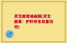 灵芝鹿茸插画图(灵芝鹿茸：护肝养生双重功效)