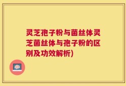 灵芝孢子粉与菌丝体灵芝菌丝体与孢子粉的区别及功效解析)