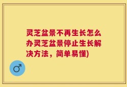 灵芝盆景不再生长怎么办灵芝盆景停止生长解决方法，简单易懂)