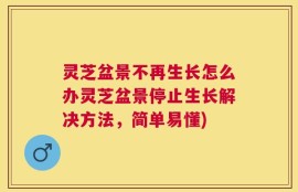 灵芝盆景不再生长怎么办灵芝盆景停止生长解决方法，简单易懂)