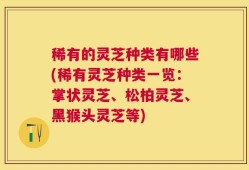稀有的灵芝种类有哪些(稀有灵芝种类一览：掌状灵芝、松柏灵芝、黑猴头灵芝等)