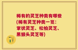 稀有的灵芝种类有哪些(稀有灵芝种类一览：掌状灵芝、松柏灵芝、黑猴头灵芝等)