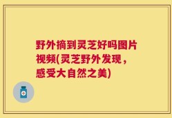 野外摘到灵芝好吗图片视频(灵芝野外发现，感受大自然之美)