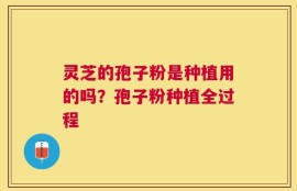 灵芝的孢子粉是种植用的吗？孢子粉种植全过程