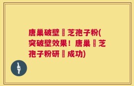 唐巢破壁靈芝孢子粉(突破壁效果！唐巢靈芝孢子粉研發成功)