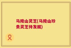 马陵山灵芝(马陵山珍贵灵芝待发掘)