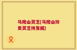 马陵山灵芝(马陵山珍贵灵芝待发掘)