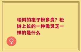松树的孢子粉多贵？松树上长的一种像灵芝一样的是什么