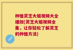 种植灵芝大姐视频大全播放(灵芝大姐视频全集，让你轻松了解灵芝的种植方法)
