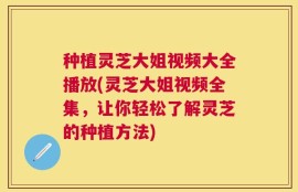 种植灵芝大姐视频大全播放(灵芝大姐视频全集，让你轻松了解灵芝的种植方法)