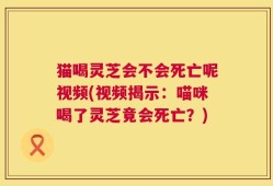 猫喝灵芝会不会死亡呢视频(视频揭示：喵咪喝了灵芝竟会死亡？)