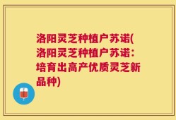 洛阳灵芝种植户苏诺(洛阳灵芝种植户苏诺：培育出高产优质灵芝新品种)