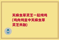 天麻虫草灵芝一起炖鸡(鸡肉炖盅中天麻虫草灵芝共融)