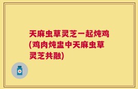 天麻虫草灵芝一起炖鸡(鸡肉炖盅中天麻虫草灵芝共融)